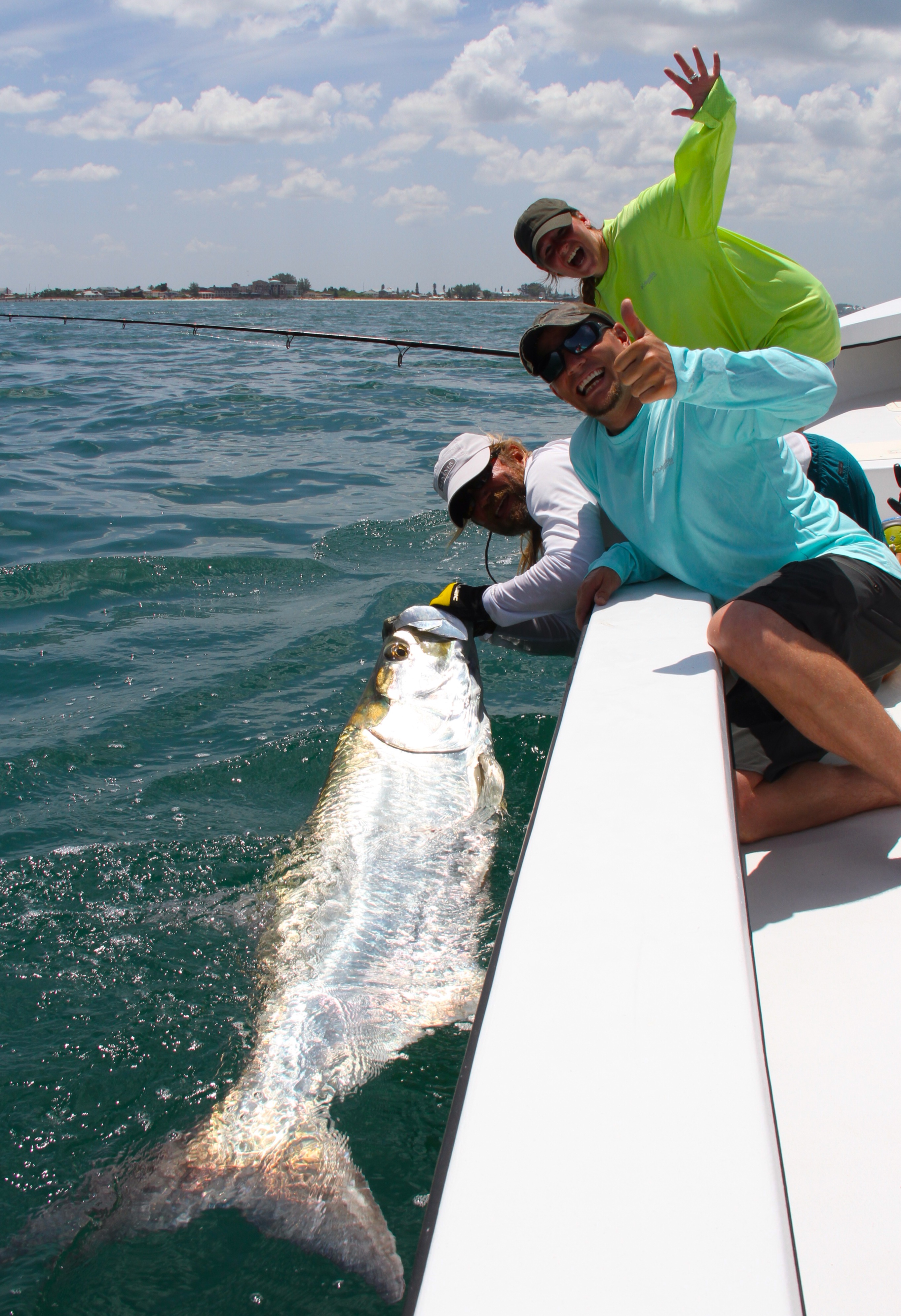 Beach Tarpon