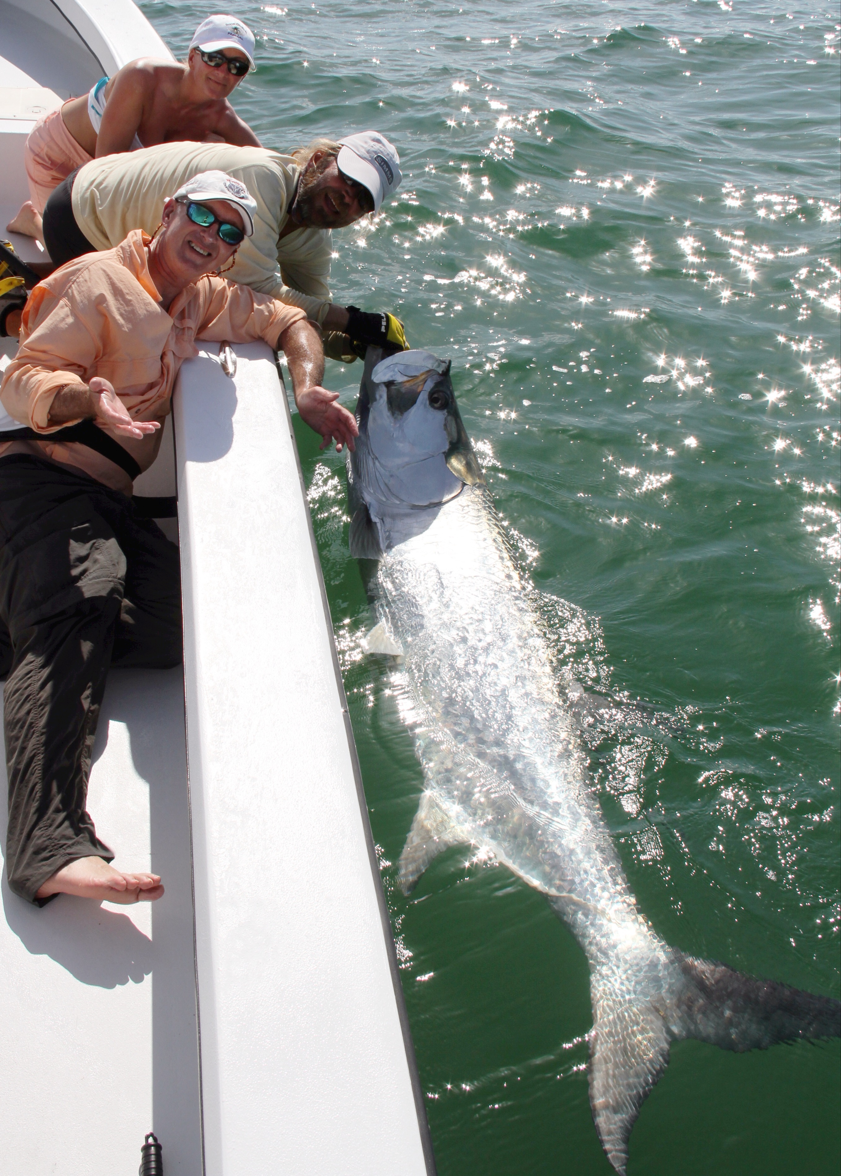 beach tarpon